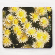 chrysanthème jaune "mer Urshin" (fleuriste Chrysan Tapis De Souris