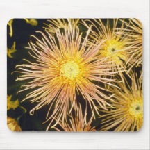 chrysanthème jaune "Mlle Atlanta" (fleuriste Chrys Tapis De Souris