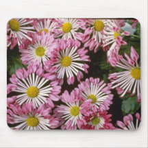 Chrysanthème rose "type spatules" (fleuriste Chrys Tapis De Souris