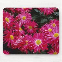 Chrysanthème rouge 'Priscilla Tapis De Souris