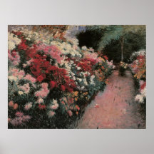 Chrysanthèmes de soute posters