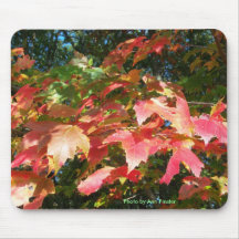 Chute Foilage - Boston, le Massachusetts Tapis De Souris