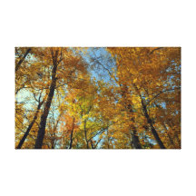Chute Impressions Sur Toile