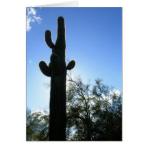 Ciel de Saguaro Carte De Vœux