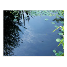 Ciel en carte postale d'étang