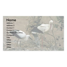 Cigogne blanche cartes de visite professionnelles