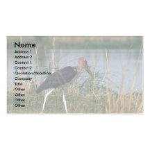 Cigogne de marabout carte de visite