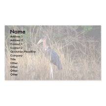 Cigogne de marabout carte de visite