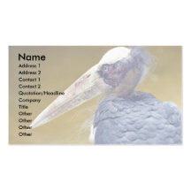 Cigogne de marabout carte de visite