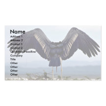 Cigogne de Maribu avec les ailes tendues Modèle De Carte De Visite