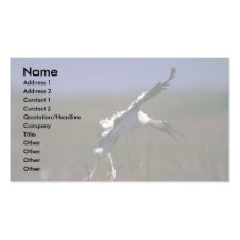 Cigogne en bois, débarquant carte de visite