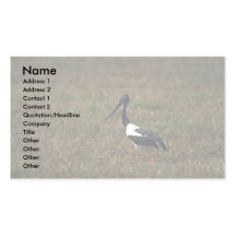 cigogne Noir-étranglée Modèle De Carte De Visite