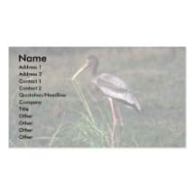 Cigogne peinte carte de visite