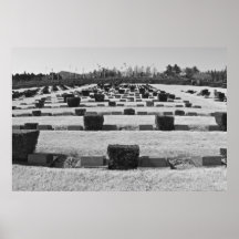 Cimetière de l'ONU à Busan, Corée Affiches