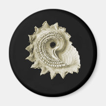 Cirkelzaag Shell Koelkast Magneetje