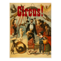 Cirque canin - carte postale #2