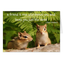 Citation d'amis de tamia de bébé cartes de vœux