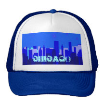 Cityscape van Chicago Pet