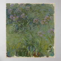 Claude Monet - Agapanthus Posters