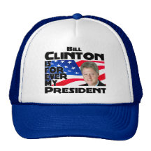 Clinton voor altijd pet met netje