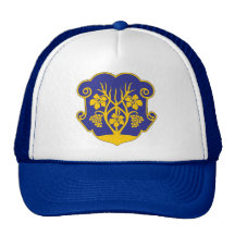 COA de ville d'Uzhhorod, Ukraine Casquette De Camionneur