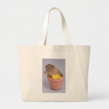 cobaye dans un pot de fleurs sacs