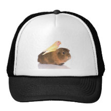cobaye et oiseau jaune casquette de camionneur