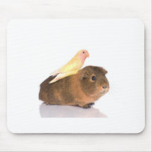 cobaye et oiseau jaune tapis de souris