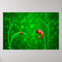 Coccinelle et caméléon