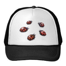 Coccinelles Casquettes