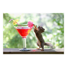 Cocktail potable d'écureuil photographies d’art