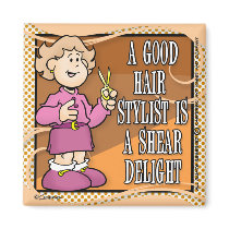 Coiffeur magnets