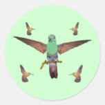 Colibri Autocollants