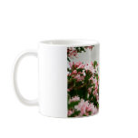 Colibri en vol