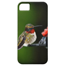 Colibri Étuis iPhone 5