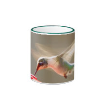 Colibri Tasses À Café