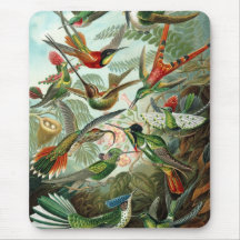 Colibri (Trochilidae) par Haeckel Mousepad Tapis De Souris