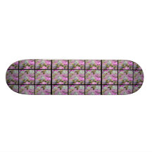 Collage rose vintage de roses sur le noir skateboards