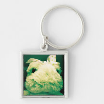 Collecteurs de grenouille porte-clés