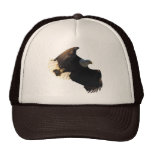 Collection II de vol d'Eagle chauve Casquettes