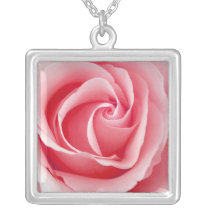 Collier assez rose de pendant de Rose