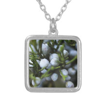 Collier avec des baies de genévrier