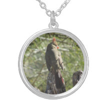 Collier cardinal du nord femelle