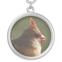 Collier cardinal femelle de portrait