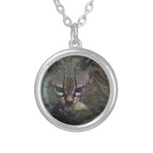 Collier de chat sauvage d'Ocelet