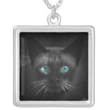 Collier de chat siamois d'yeux bleus