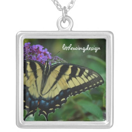 Collier de papillon de tigre