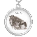 Collier de poney de vallées