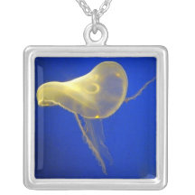Collier du bateau 2 de l'eau