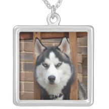 Collier enroué de photo